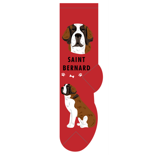 Saint Bernard