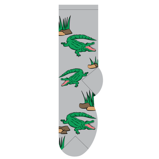 Alligator