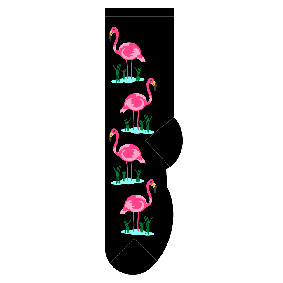 Flamingos